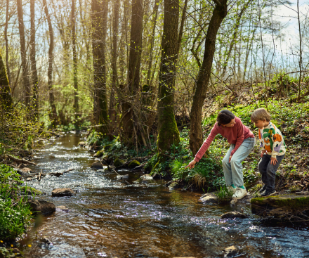 Special Offers